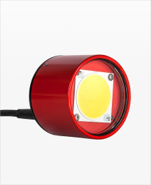 REDSTAR MINI RCA Video Light
